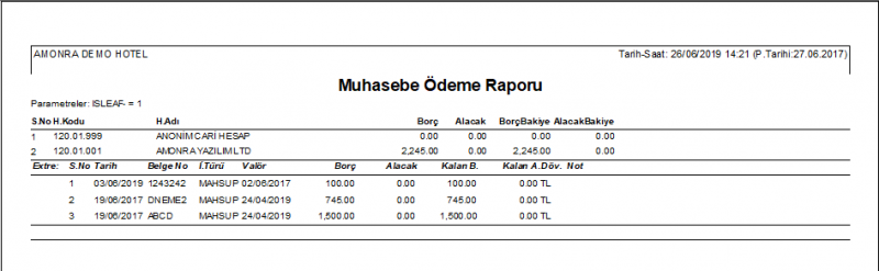 Dosya:Muhasebe Raporlari Muhasebe Odeme Raporu Rapor.PNG